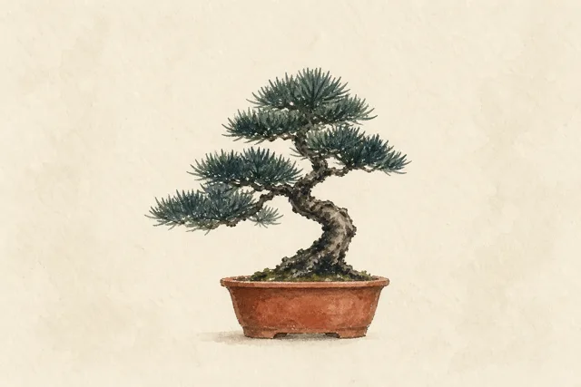 Watercolor illustration of a bonsai tree