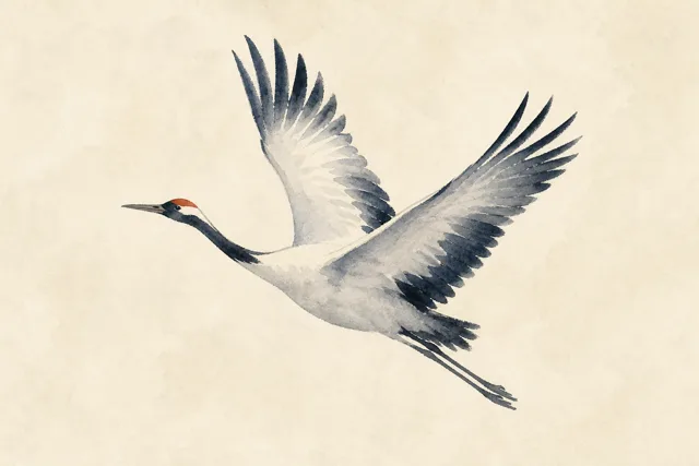 Watercolor illustration of a crane in flight
